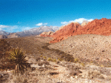 Red Rock Canyon