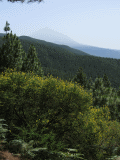 pico_del_teide_von_norden.jpg